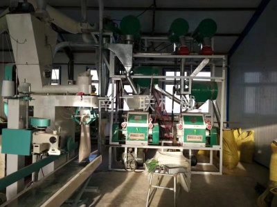 雙機(jī)雜糧面設(shè)備