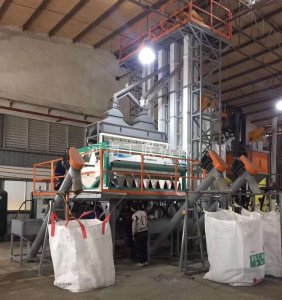 蕎麥去皮色選打包