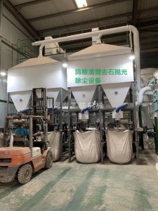 鴿糧清理去石拋光除塵設(shè)備